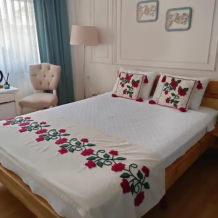 Sigacik Duru *